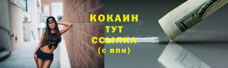 купить  цена  Фёдоровский  Cocaine Fish Scale 